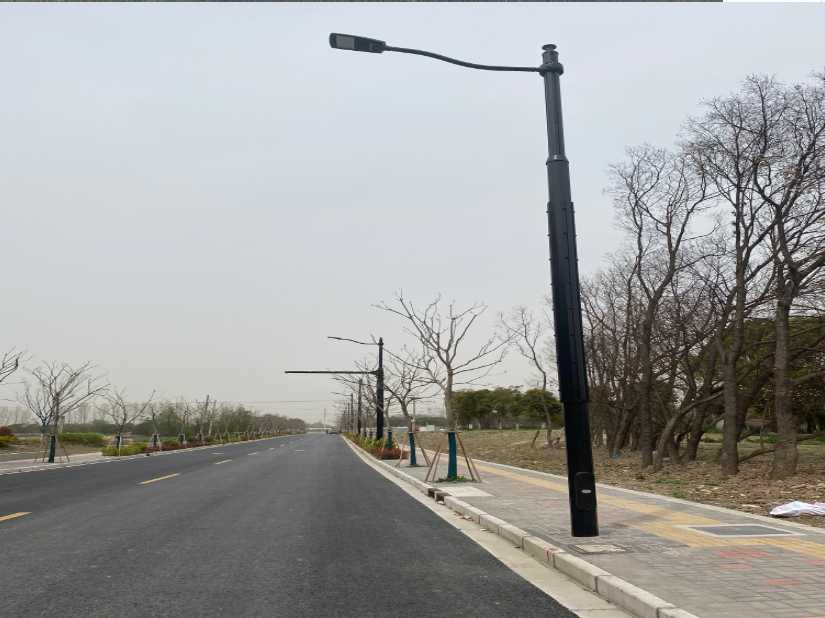 灵台县上海综合杆 太阳能路灯工程